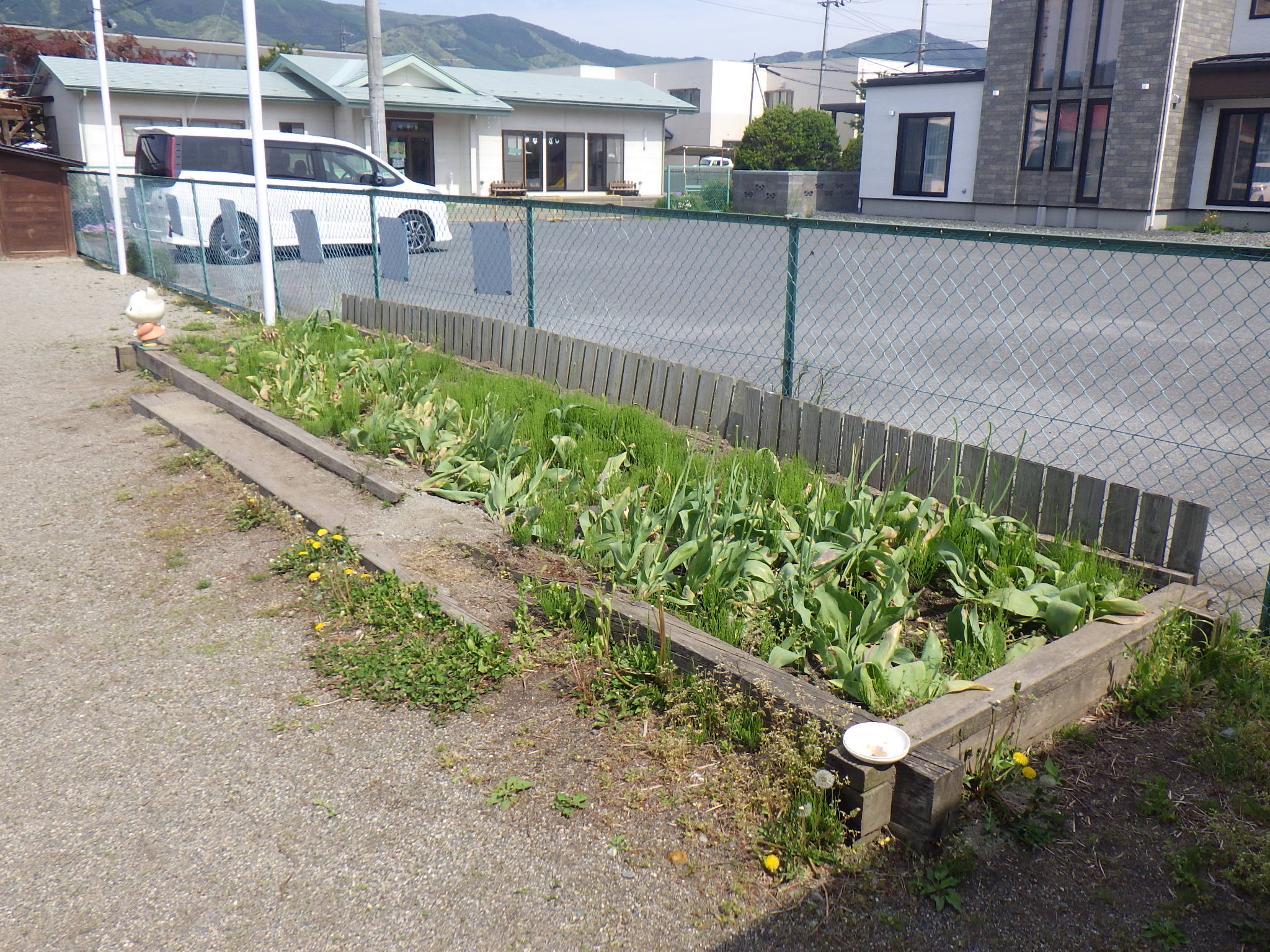 作業前の花壇